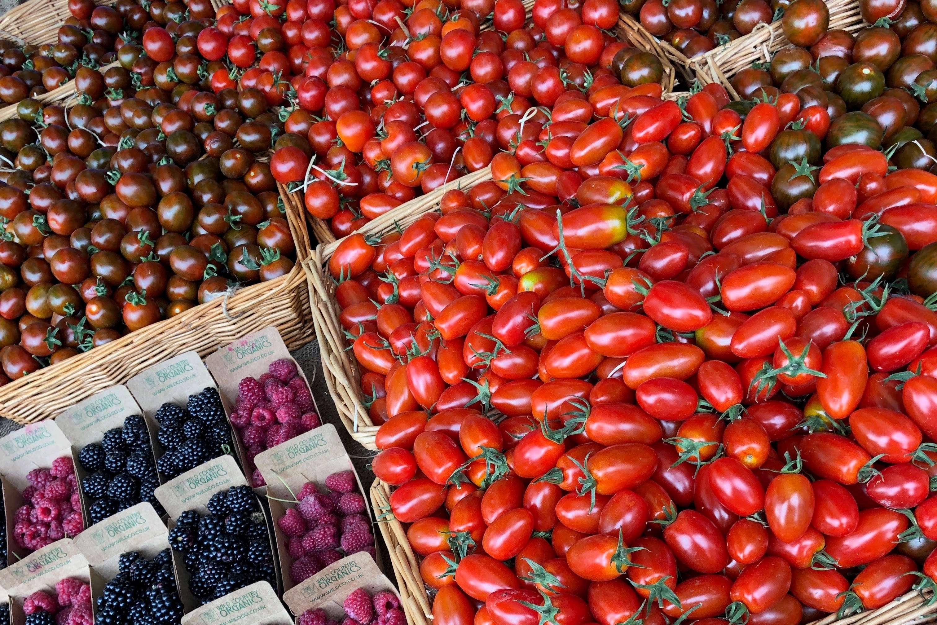 Os tomates são a melhor parte do verão